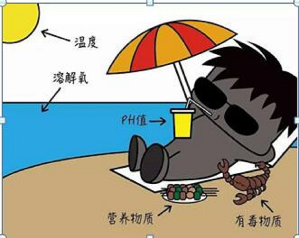 活性污泥處理污水 活性污泥處理污水