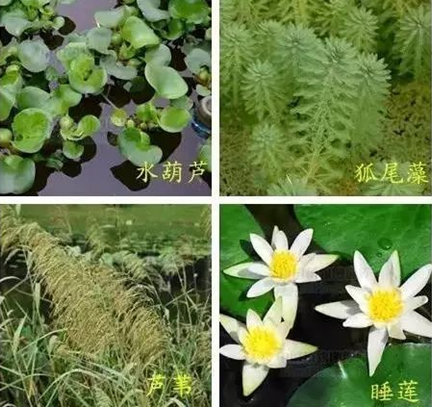 污水治理項目 污水治理項目