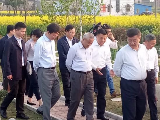 考察團實地查看 考察團實地查看