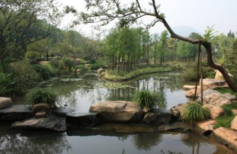 生態修復 生態修復