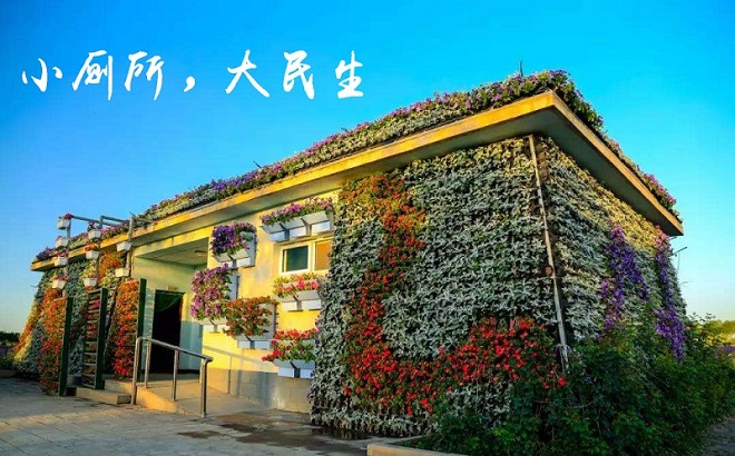廁所革命 廁所革命