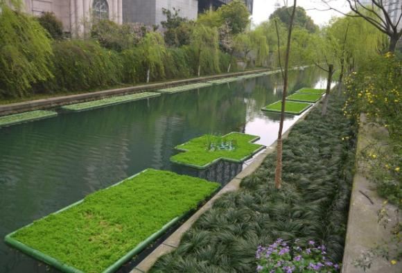 水環境修復 水環境修復