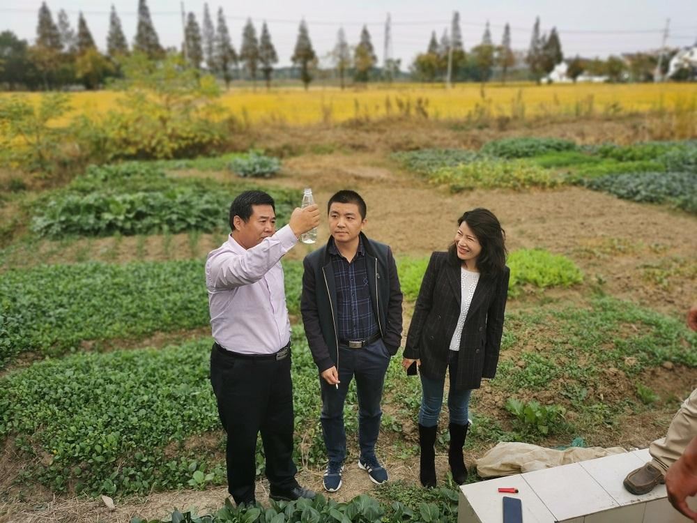 農(nóng)村一體化污水處理設(shè)備出水 農(nóng)村一體化污水處理設(shè)備出水