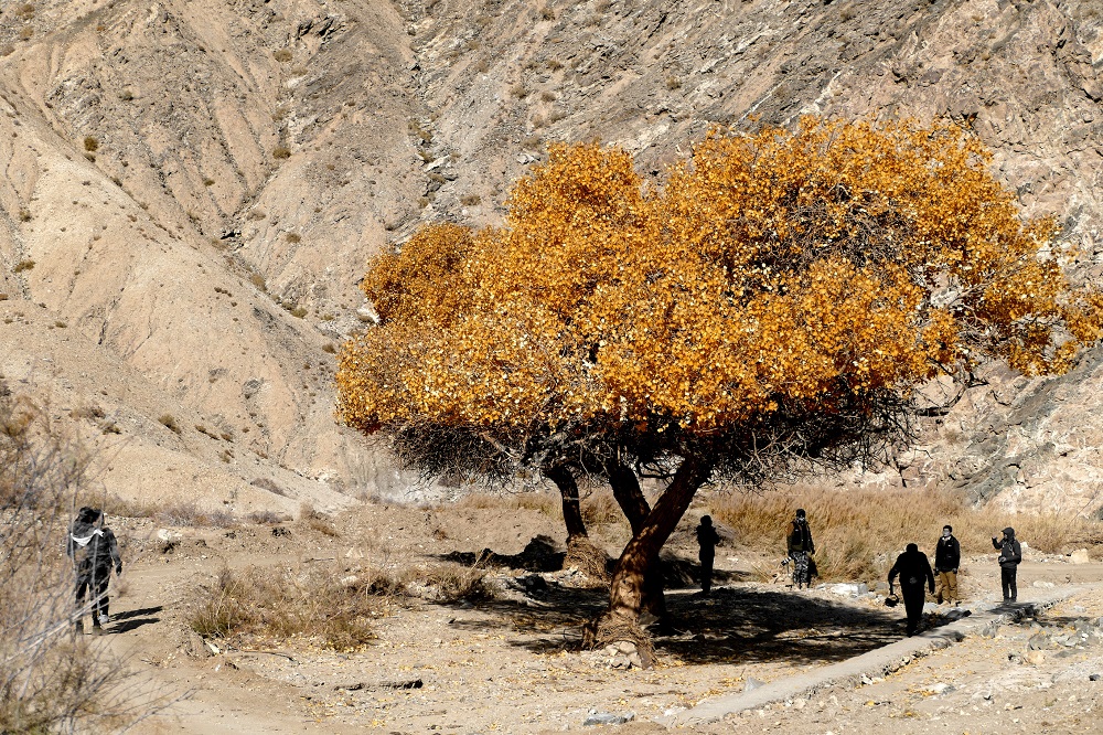 f82472f1-275d-481f-80de-4135a737ff6d f82472f1-275d-481f-80de-4135a737ff6d