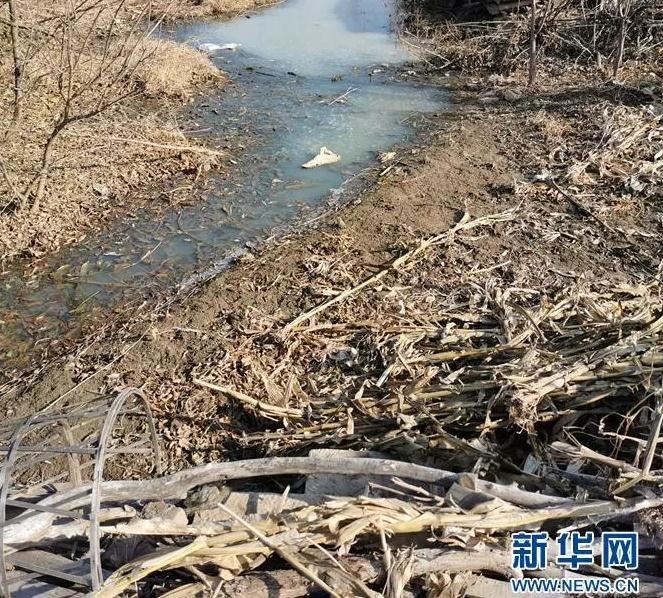 農村水污染2 農村水污染2