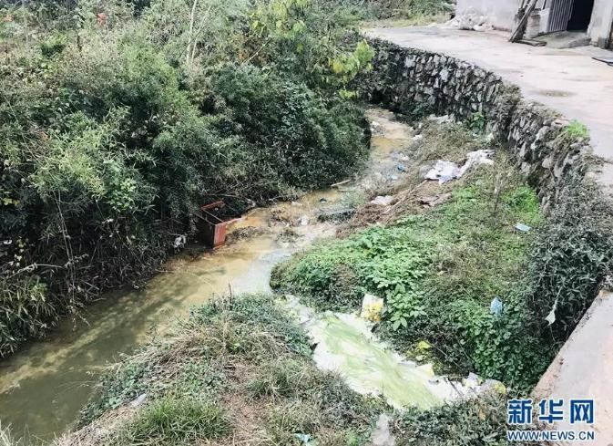 農村水污染 農村水污染