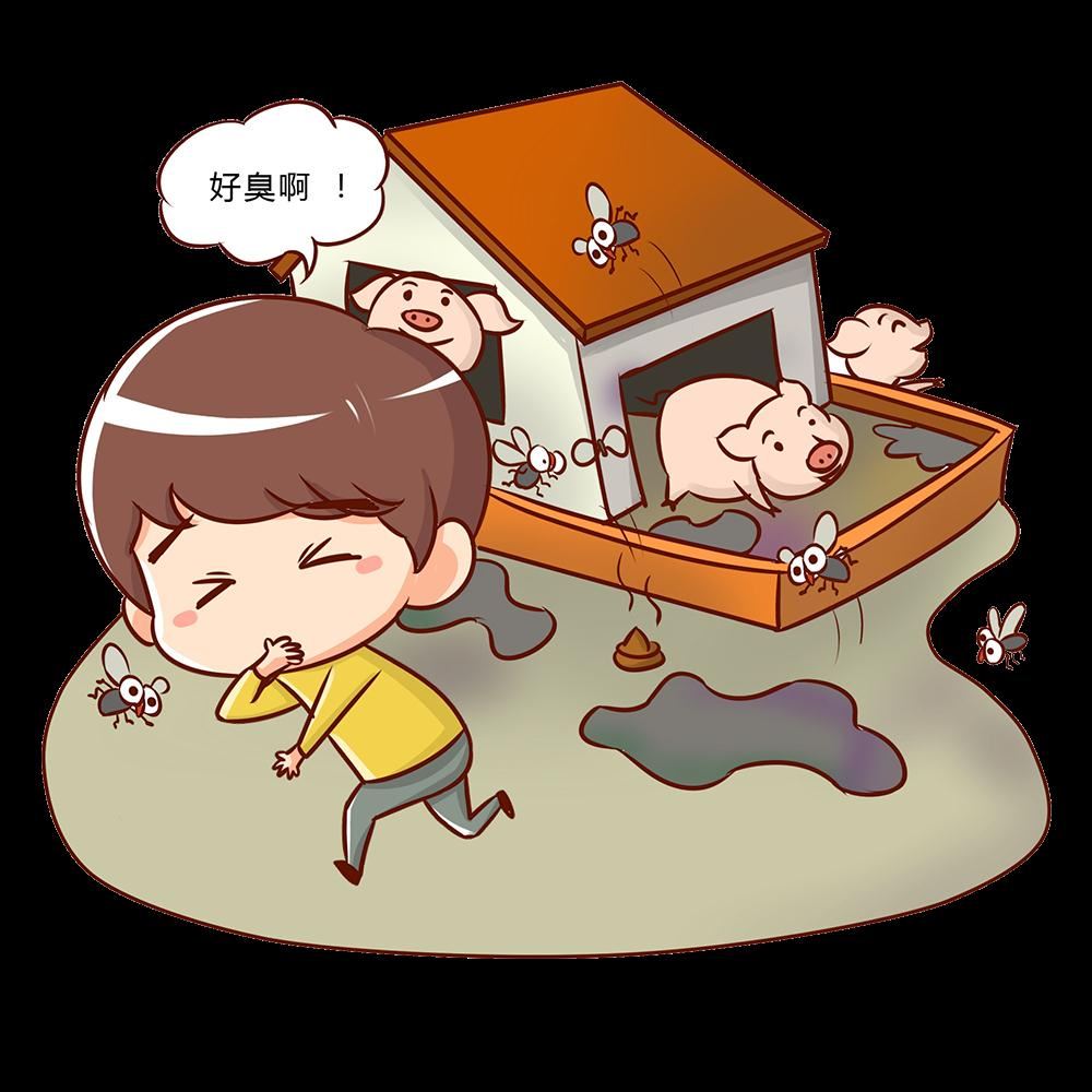 傳統養豬 傳統養豬