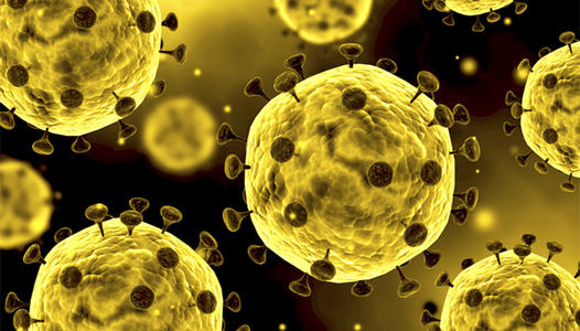 冠狀病毒 冠狀病毒