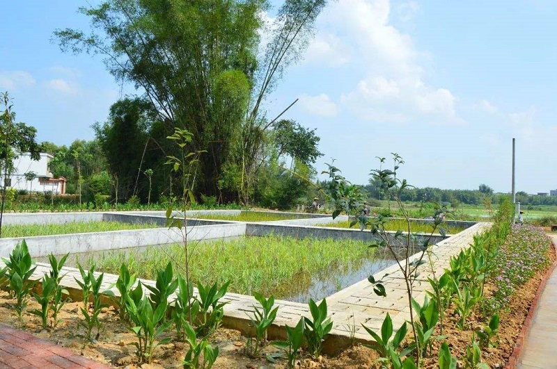 人工濕地 人工濕地