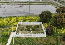 昆山農村污水處理案例 昆山農村污水處理案例