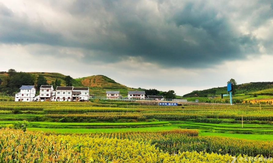 一體化生活廢水處理設備助力傳統農村美麗蝶變 一體化生活廢水處理設備助力傳統農村美麗蝶變