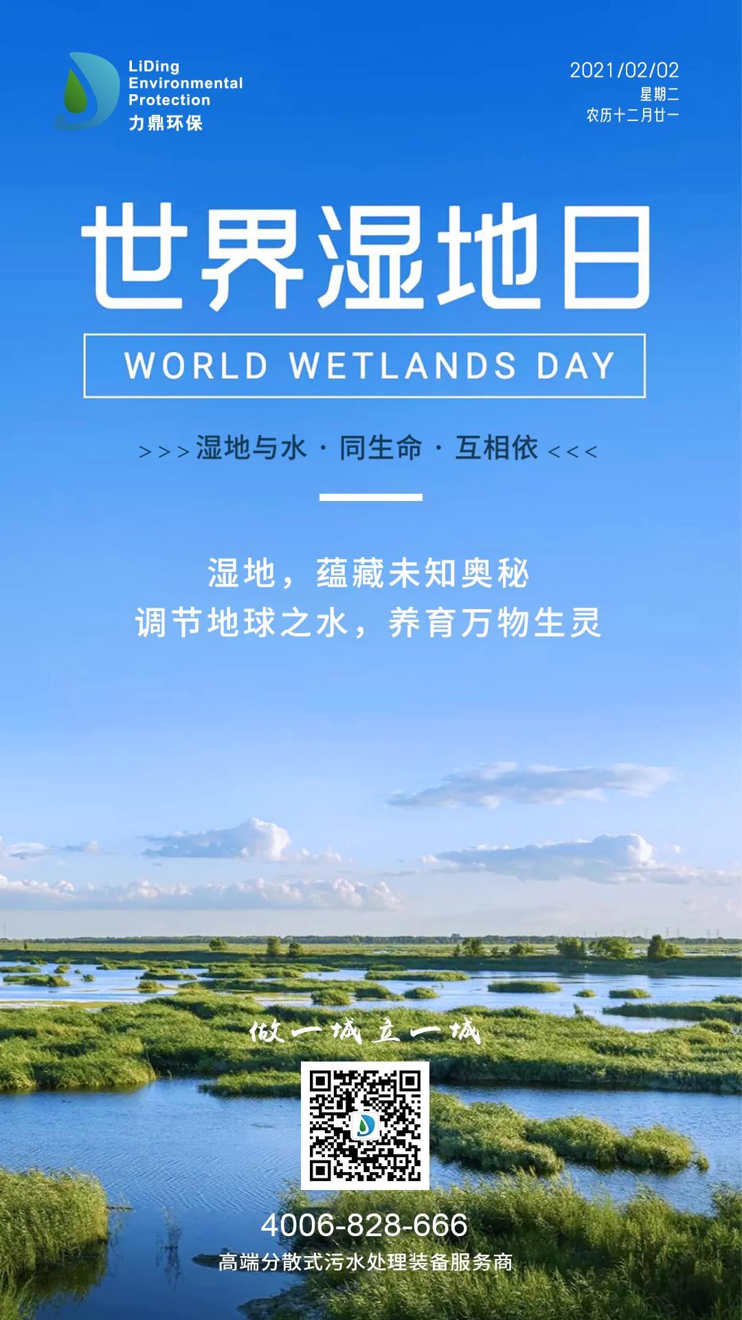世界濕地日 世界濕地日