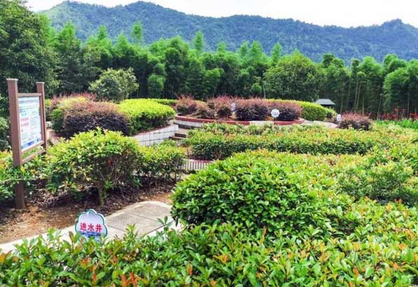 農村污水處理運維 農村污水處理運維