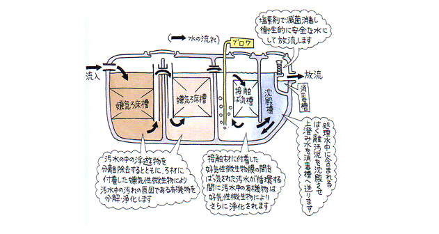 水處理黑客戶-凈化槽設備 水處理黑客戶-凈化槽設備