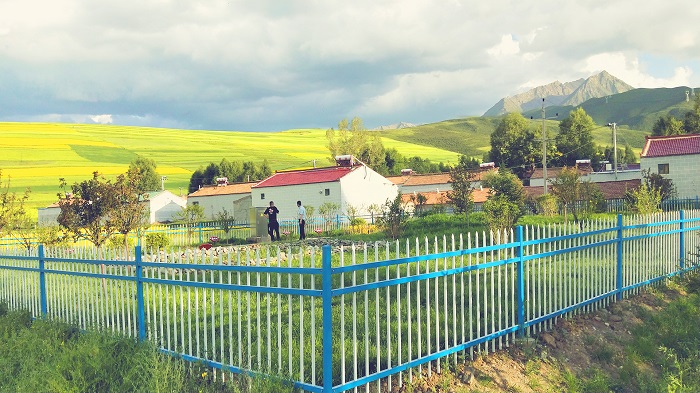 青海門源農村生活污水處理工程 青海門源農村生活污水處理工程