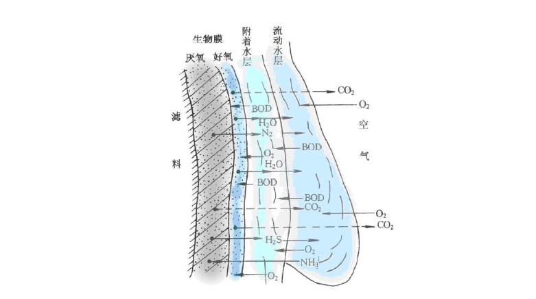 鄉鎮生活污水處理-生物膜處理法示意圖 鄉鎮生活污水處理-生物膜處理法示意圖