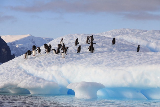 南極生活污水處理 南極生活污水處理