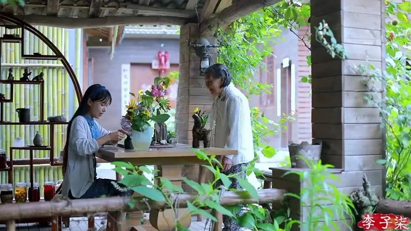 李子柒拍攝一體化污水處理設備 李子柒拍攝一體化污水處理設備