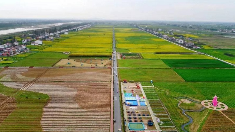 益陽農(nóng)村生活污水治理 益陽農(nóng)村生活污水治理
