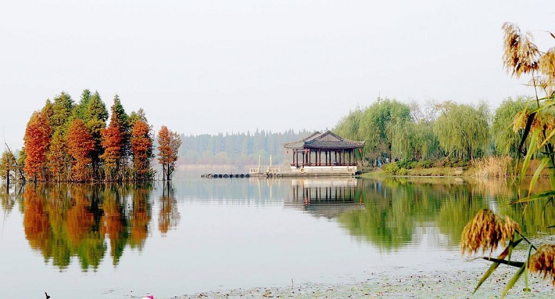 尚湖濕地 尚湖濕地