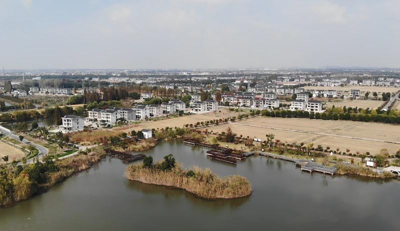 秋沉海圩航拍 秋沉海圩航拍