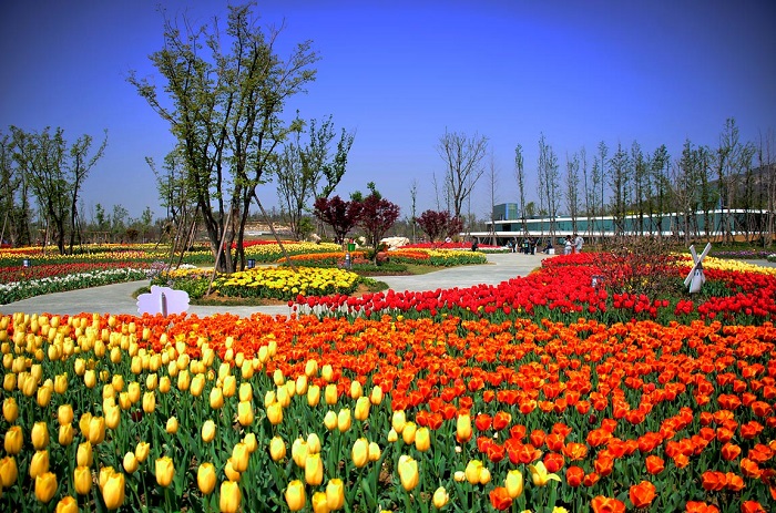 花博園污水處理 花博園污水處理