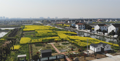 農村污水處理設備工程案例 農村污水處理設備工程案例